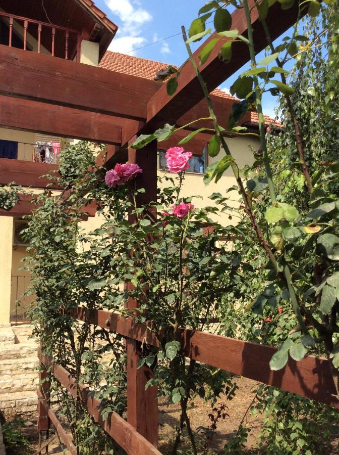 Villa Rosa Năvodari Extérieur photo